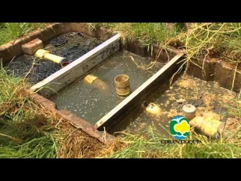 Beneficios Ambientales de los Parques Fluviales