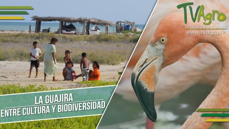 Explorando la Vegetaci&oacute;n Costera