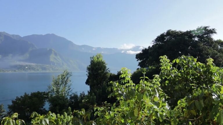 Refugios Naturales en Parques Privados: Un Oasis de Biodiversidad