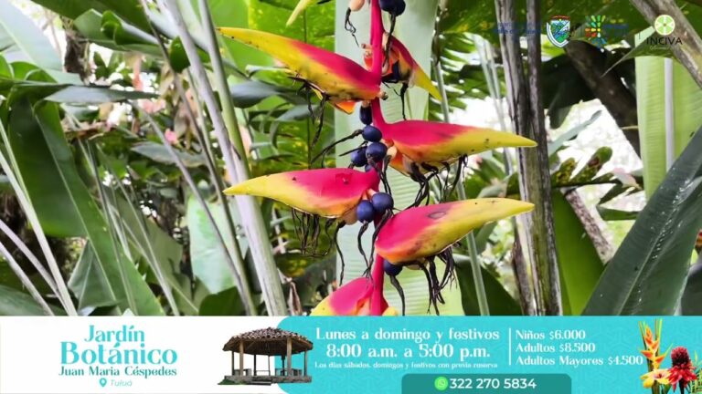 Descubre Experiencias Culturales en Parques Hist&oacute;ricos Encantados