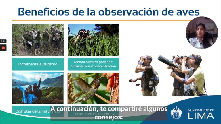Avifauna en Zonas de Observaci&oacute;n de Aves
