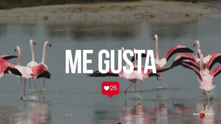 Maravillas Naturales en Espacios Protegidos