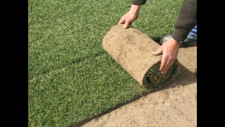 Gu&iacute;a para Organizar el Picnic Perfecto en &Aacute;reas Verdes