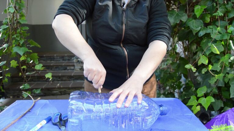 Sostenibilidad en Jardines y Huertos Urbanos de Invernaderos