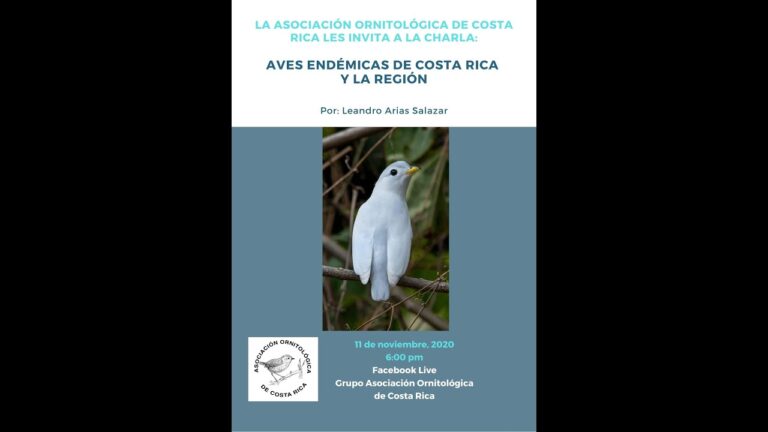 Aves End&eacute;micas: Explorando &Aacute;reas de Observaci&oacute;n