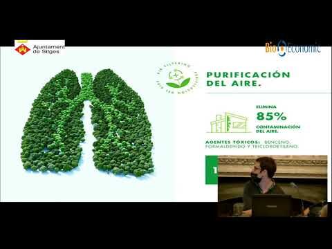 Jardines Verticales: Sostenibilidad Urbana en Acci&oacute;n