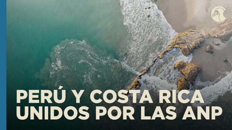 Fortaleciendo Alianzas entre Comunidades y Autoridades en &Aacute;reas Protegidas