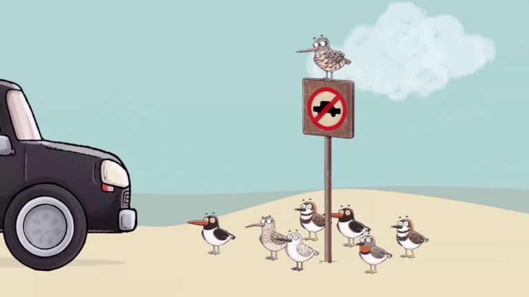 Protección de Especies en Playas y Dunas Naturales