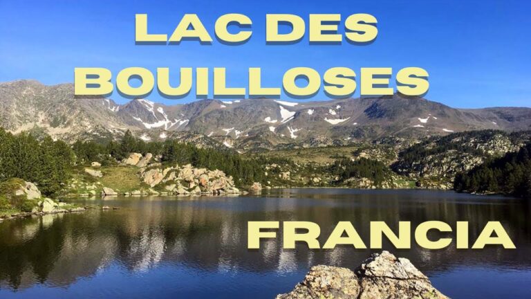 Conexi&oacute;n Vital: Explorando Flora y Fauna en Senderos Naturales