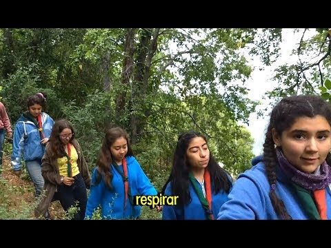 Caminatas Revitalizantes con Brisa Marina