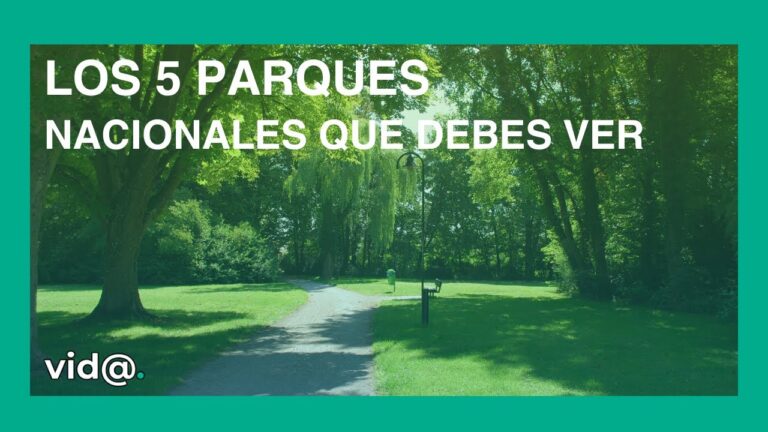 Descubriendo la Naturaleza: Exploraci&oacute;n en Parques Naturales