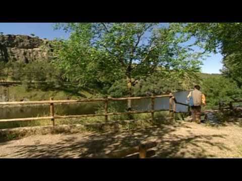 Avistamiento de Aves en los Parques Nacionales de Espa&ntilde;a