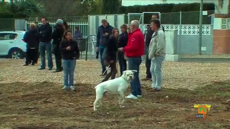 Espacios Verdes para Mascotas en &Aacute;reas Recreativas