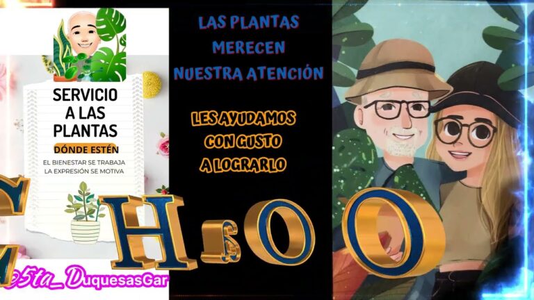 Sostenibilidad y Herbolaria en Huertos Urbanos: Cultivando el Futuro Verde