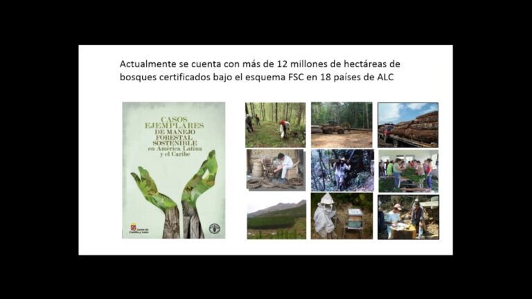 Fortalecimiento del Desarrollo Comunitario a trav&eacute;s de la Gesti&oacute;n Forestal