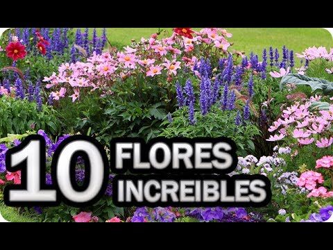 Belleza Natural de Jardines Hist&oacute;ricos con Plantas Ornamentales