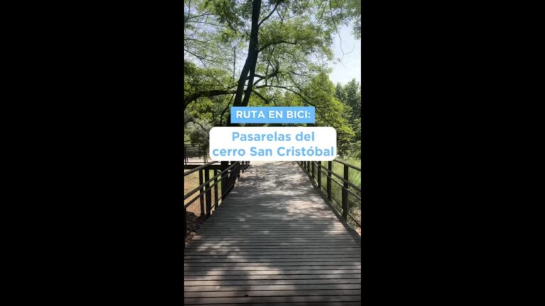 Explorando Senderos Naturales en Parques en Bicicleta