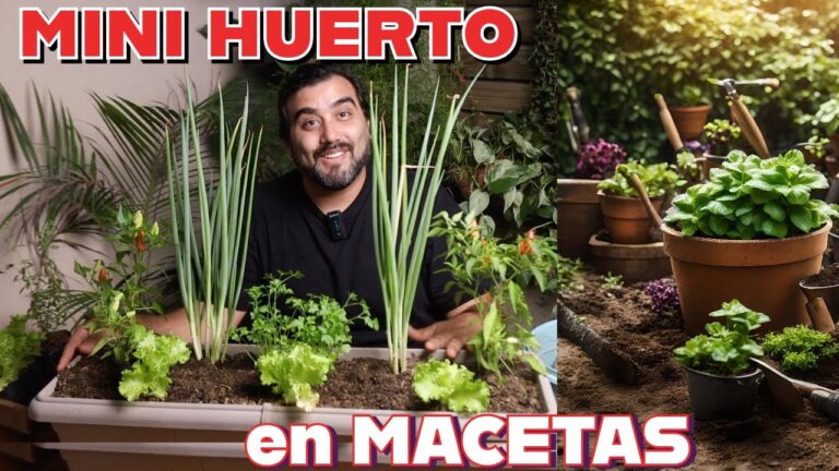 Maximizaci&oacute;n de Espacios en Jardiner&iacute;a Urbana