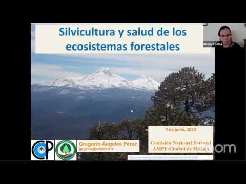 Ecosistema de Montes P&uacute;blicos: Refugio para la Fauna