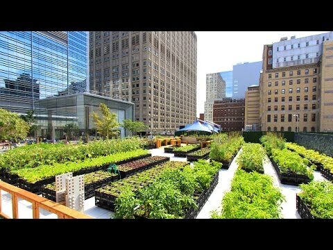 Cultivo Sostenible en Entornos Urbanos