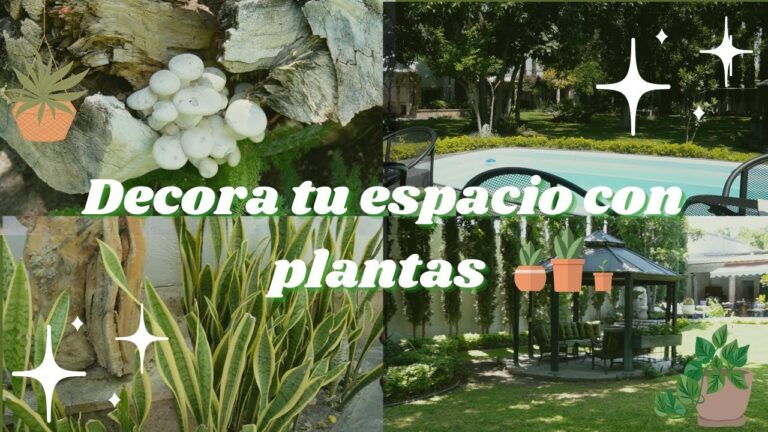 Elementos Bot&aacute;nicos Esenciales para el Dise&ntilde;o de Jardines