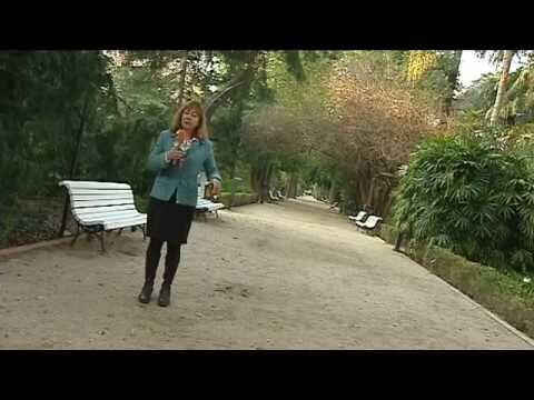 Conciertos en Jardines Bot&aacute;nicos: M&uacute;sica y Naturaleza