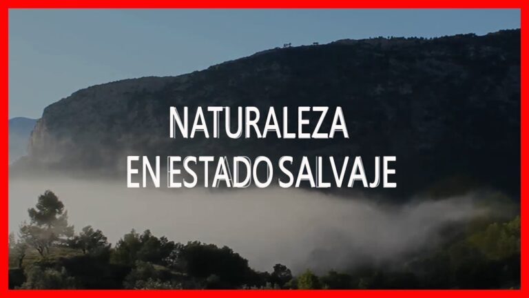 Explorando la Naturaleza Salvaje en Rutas de Monta&ntilde;a