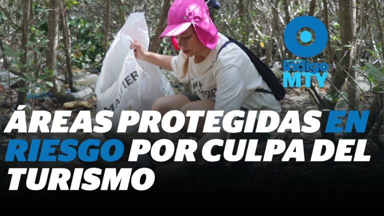 El Turismo como Motor de Conservaci&oacute;n en &Aacute;reas Naturales Protegidas