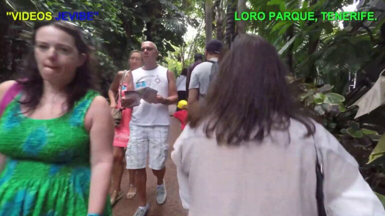 Revoluci&oacute;n del Entretenimiento Virtual en Parques de Exhibiciones