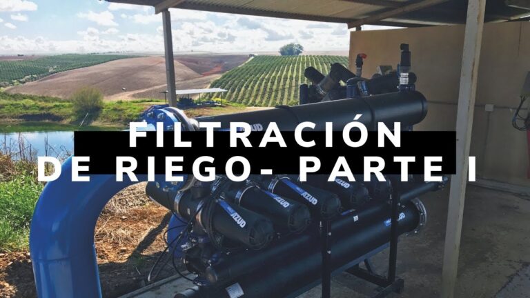 Importancia de Pantanos y Embalses en el Riego Agr&iacute;cola
