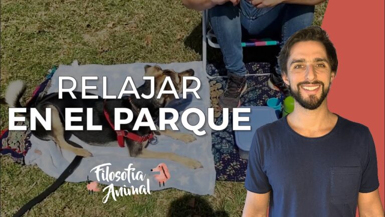 Los mejores parques para pasear con tu mascota