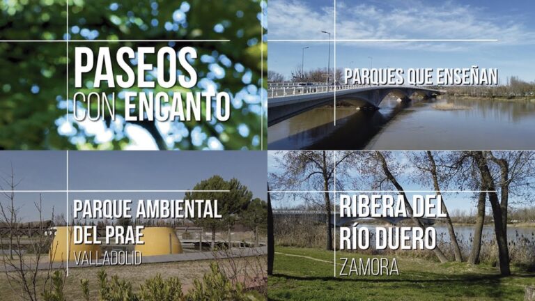 El Encanto de las Plazas Verdes Urbanas