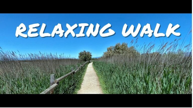 Descubre los Mejores Paseos Relajantes en Parques Fluviales