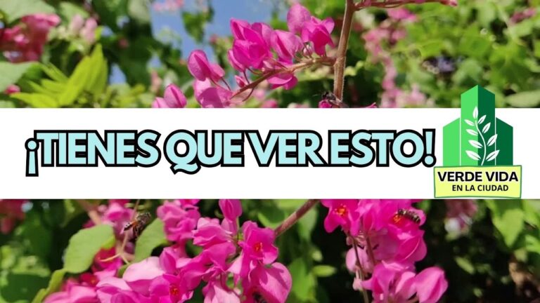 Jardiner&iacute;a Sostenible en la Ciudad