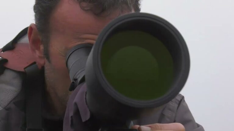 Explorando la Fauna en Parques Naturales