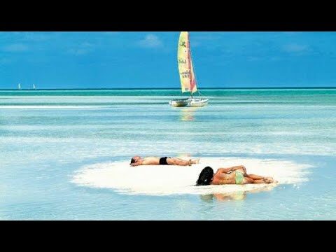 Belleza Natural en Jardines Costeros