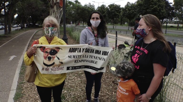 Áreas Verdes Ideales para Mascotas al Aire Libre