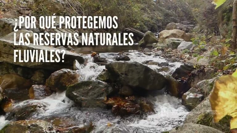 Estrategias para la Conservaci&oacute;n de la Biodiversidad en &Aacute;reas Fluviales