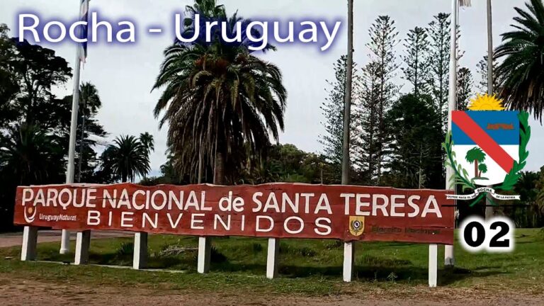 Refugios de Aves en &Aacute;reas de Acampada: Gu&iacute;a Pr&aacute;ctica