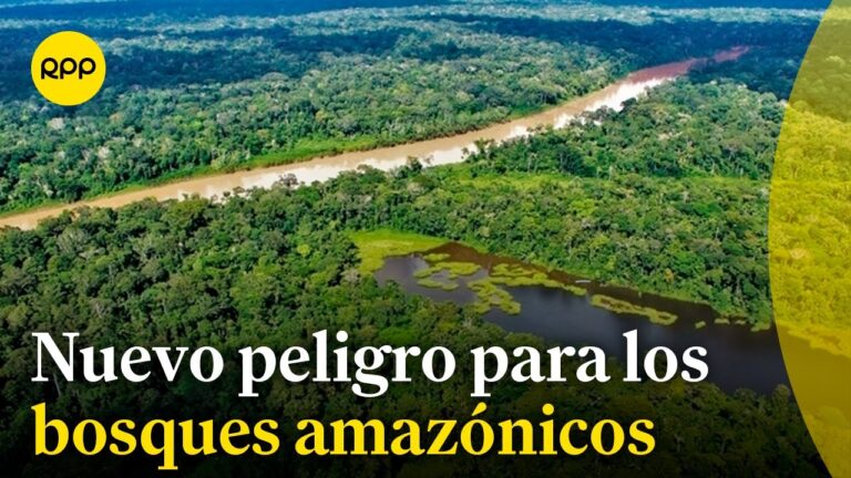 Desaf&iacute;os de la Explotaci&oacute;n Forestal en &Aacute;reas P&uacute;blicas