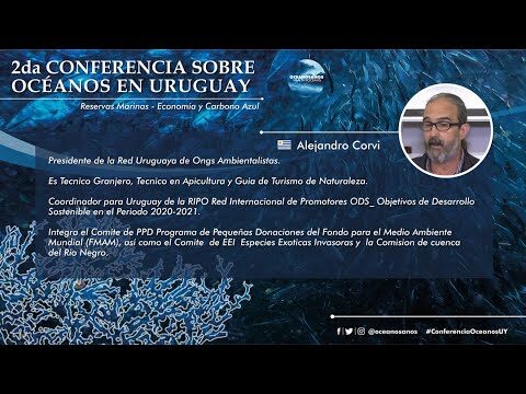 Turismo Sostenible en Reservas Marinas: Un Futuro Responsable