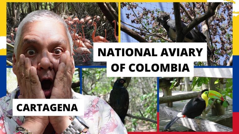 Aventuras en Monta&ntilde;as: Excursiones de Avistamiento de Aves