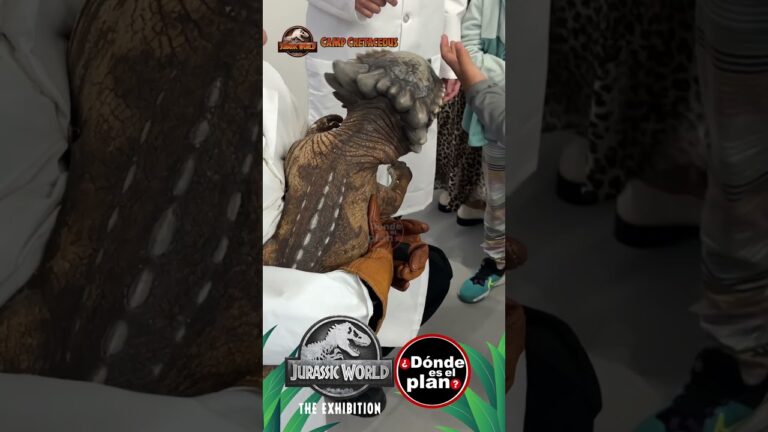 Explorando Parques de Exhibici&oacute;n y sus Exposiciones Temporales