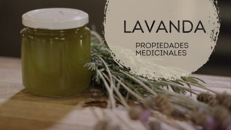 El poder curativo de los jardines terap&eacute;uticos