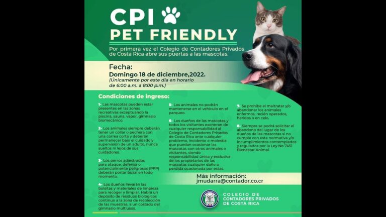 &Aacute;reas Recreativas Pet Friendly: Un Para&iacute;so para Mascotas y Due&ntilde;os