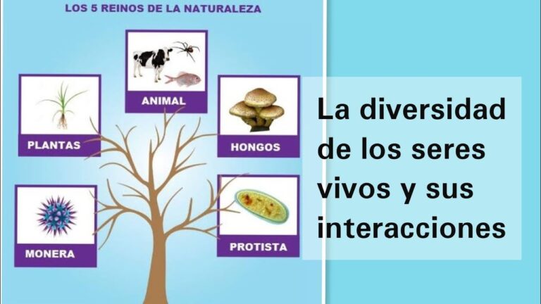Diversi&oacute;n en la Naturaleza: Explorando Nuevas Aventuras