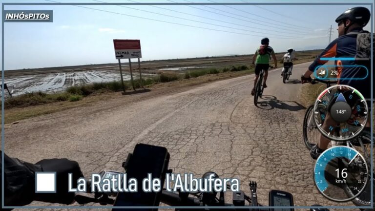 Aves y Bicicletas: Encuentros Inesperados en la Naturaleza