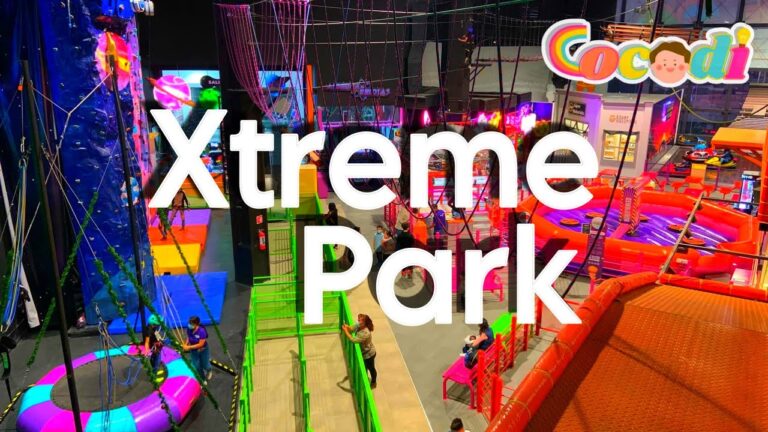 Entretenimiento en Parques de Diversiones: Diversi&oacute;n sin L&iacute;mites
