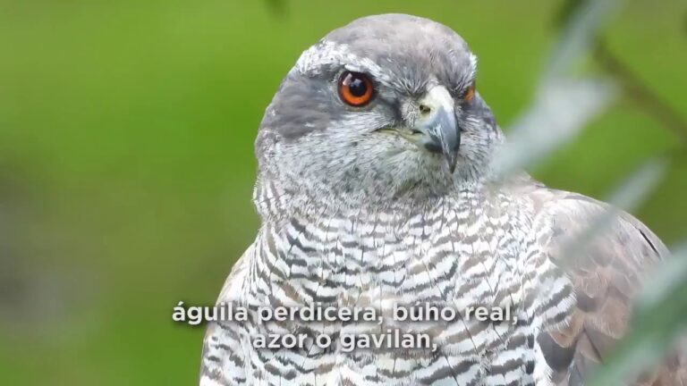 Riqueza Paisaj&iacute;stica de los Parques Nacionales en Espa&ntilde;a