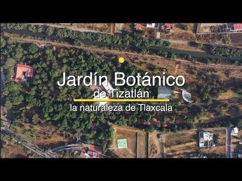 Exploraci&oacute;n Natural en Jardines Bot&aacute;nicos